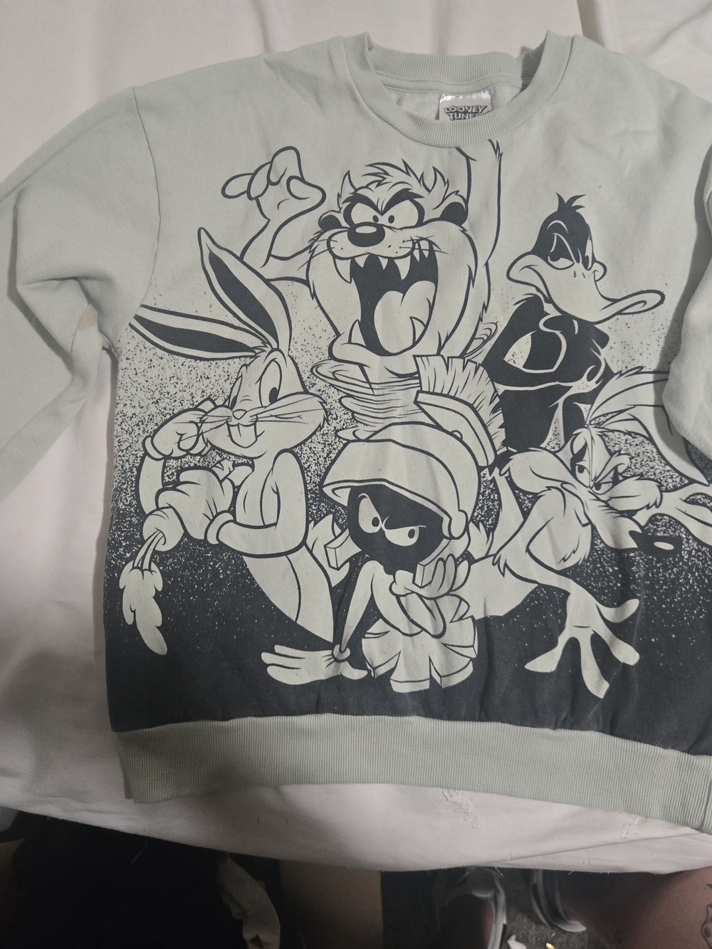 Warner Bros. Light Sage and Charcoal Looney Tunes Crewneck